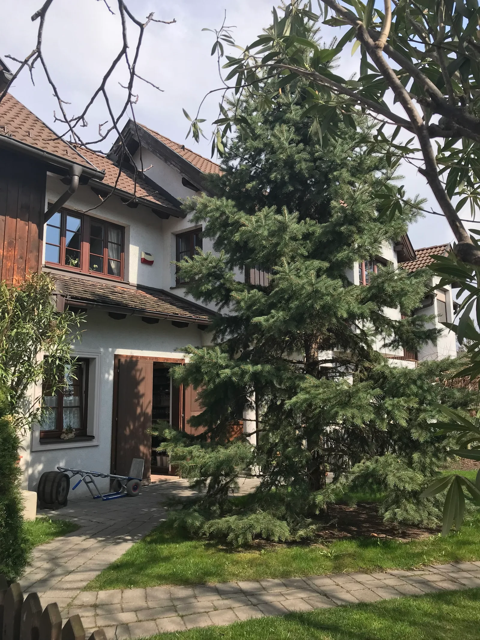 Hof mit Nadelbaum und Blick auf das Haus